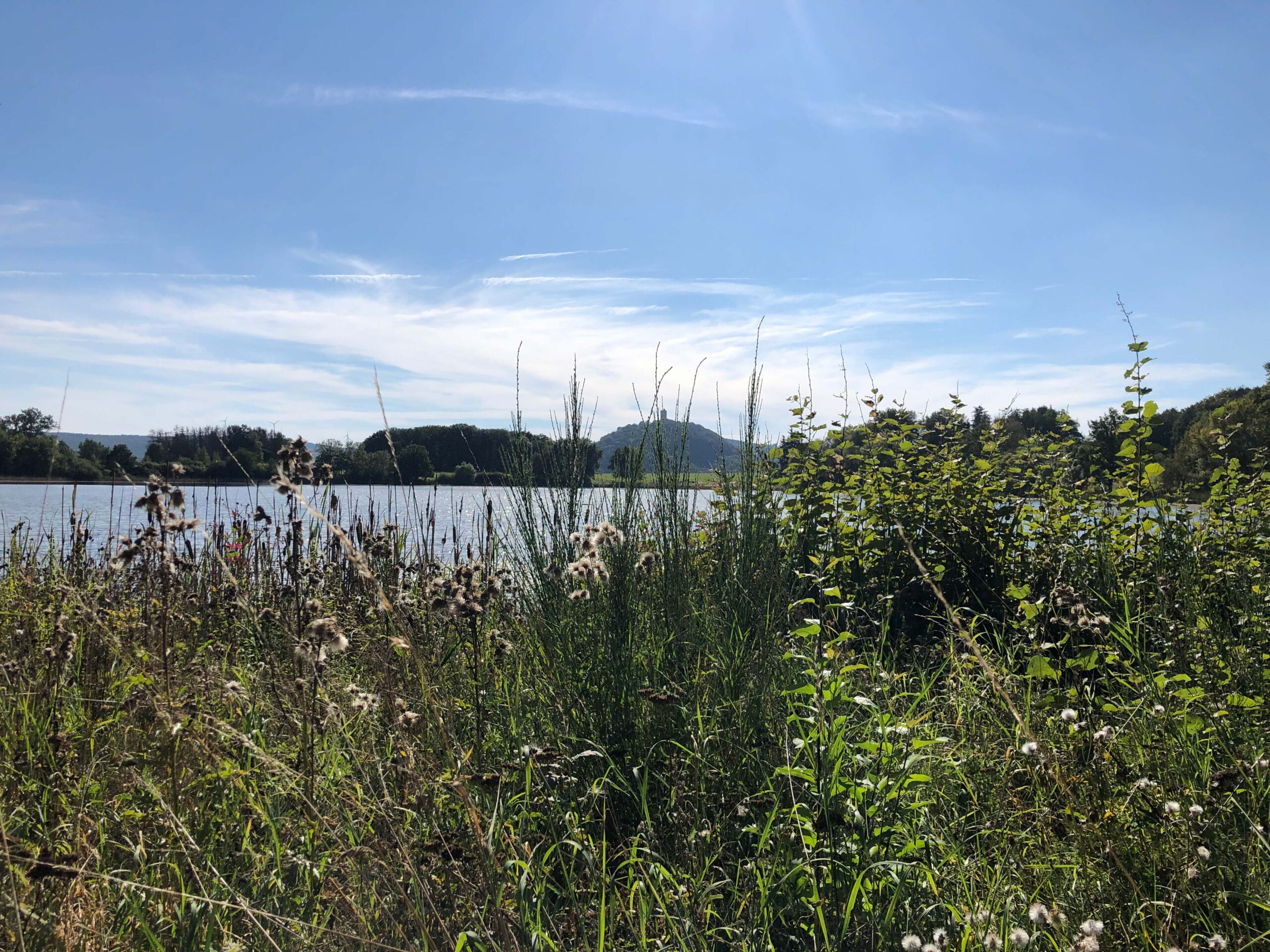 Yoga in der Eifel